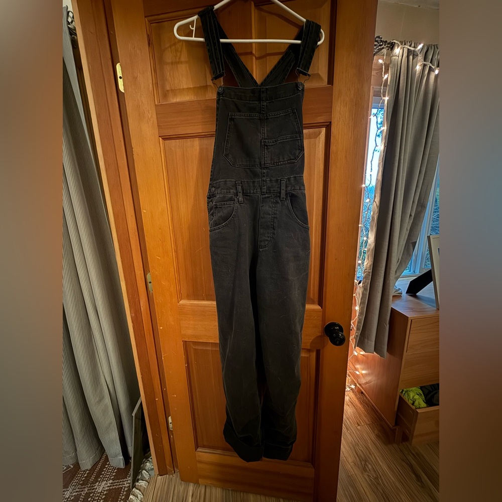 Free people we the free overalls